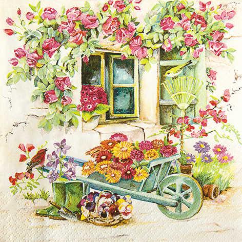 Servetti Backyard Garden 33 x 33 cm, 20 kpl