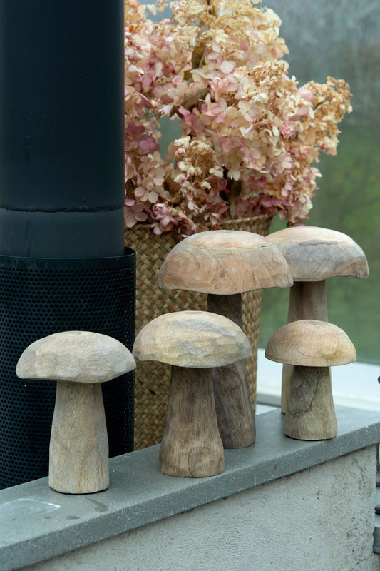 Puinen sieni Koko: M (15 cm)