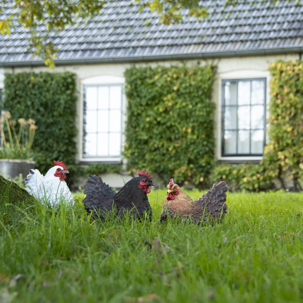 Kana makoileva tummanruskea