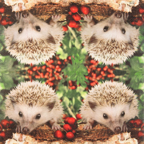 Servetti Siili 33 x 33 cm