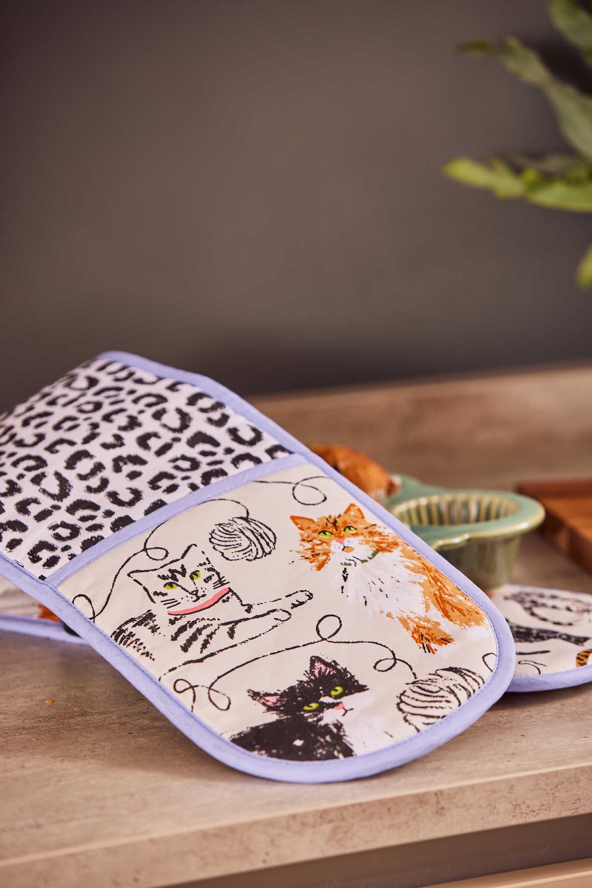Tuplauunikinnas Kissat – Feline Friends