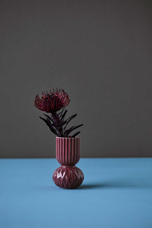 Maljakko Ruffelbell Aubergine - Samsurium