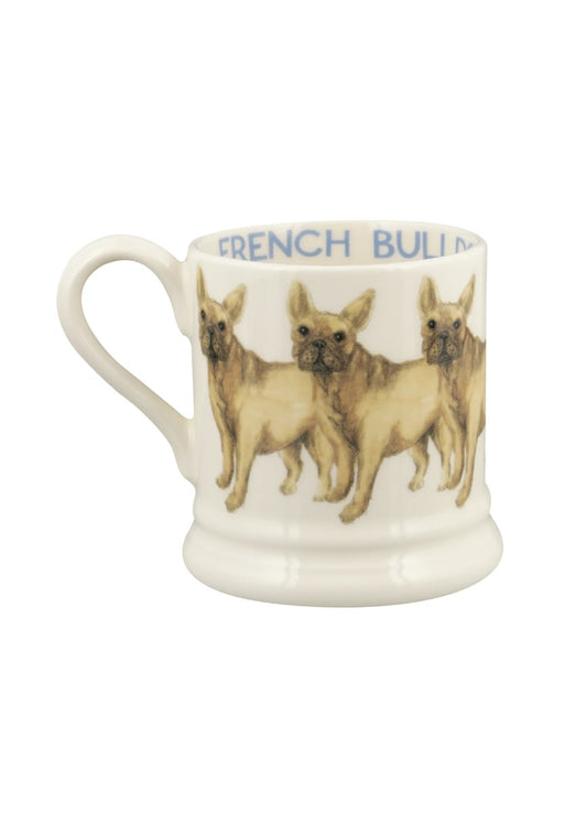 Muki Ranskanbuldoggi - French Bulldog