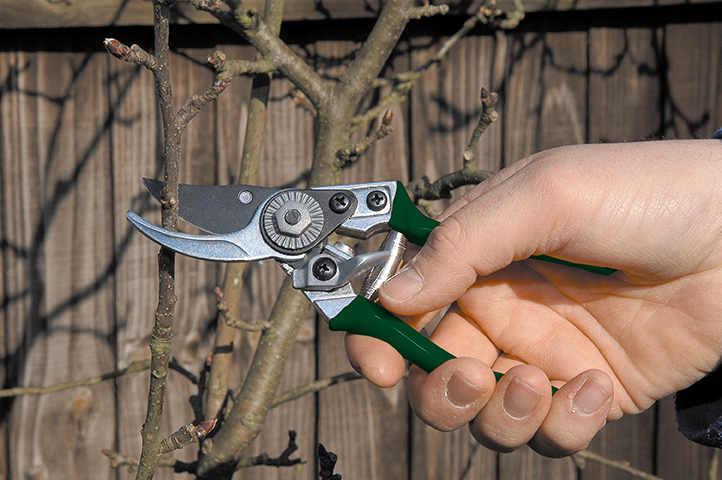 Keskikokoiset oksasakset Vihreä - Pocket Pruner