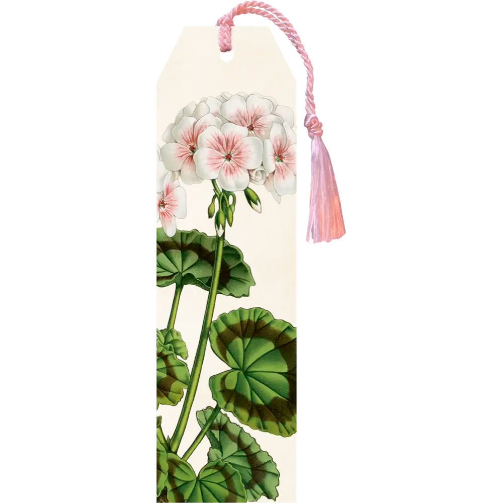 Kirjanmerkki Valkoinen pelargoni