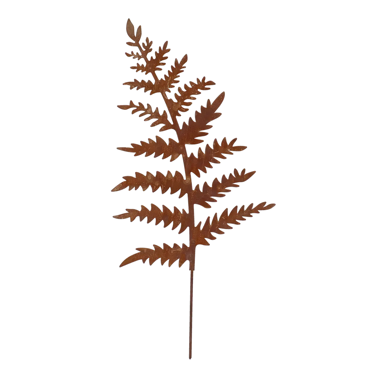 Saniainen II ruosteinen koristetikku puutarhaan