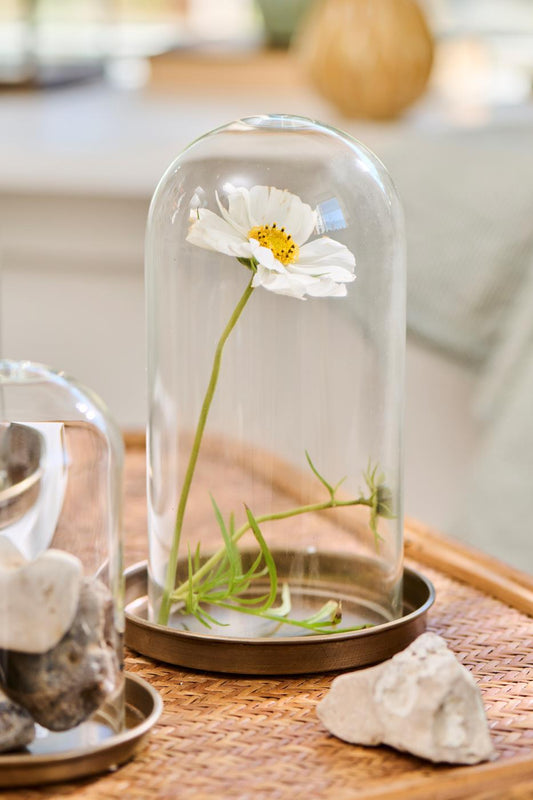 Lasikupu 20 cm, halkaisija 10 cm