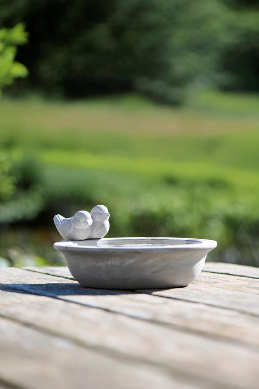 Lintujen juoma-allas Kaksi lintua betoninen