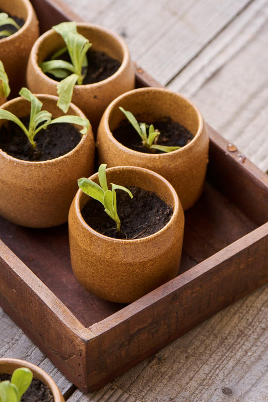 Puulaatikko ruskea kierrätetty puu, 21 x 35 cm