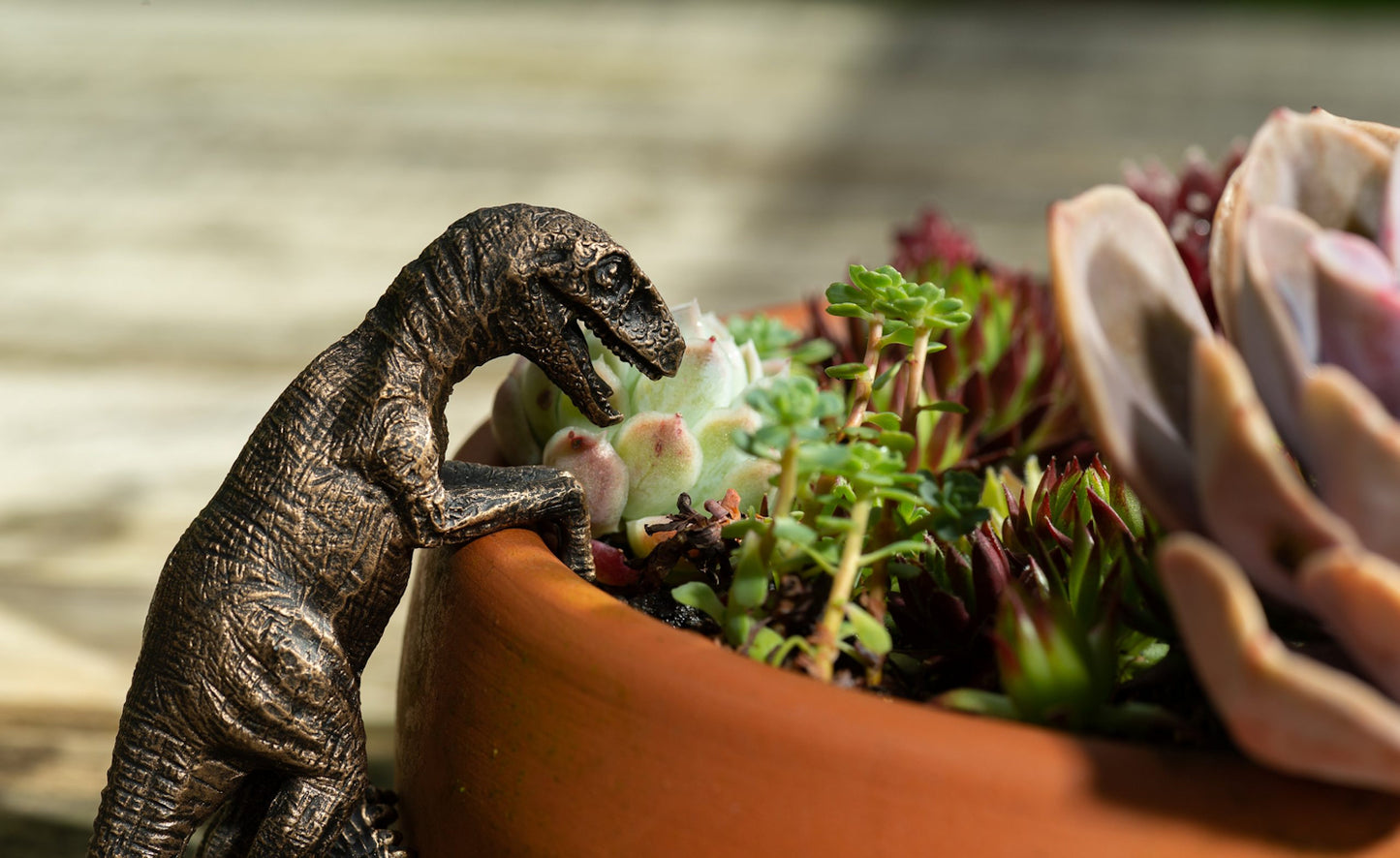 Ruukkukaveri Dinosaurus Velociraptor