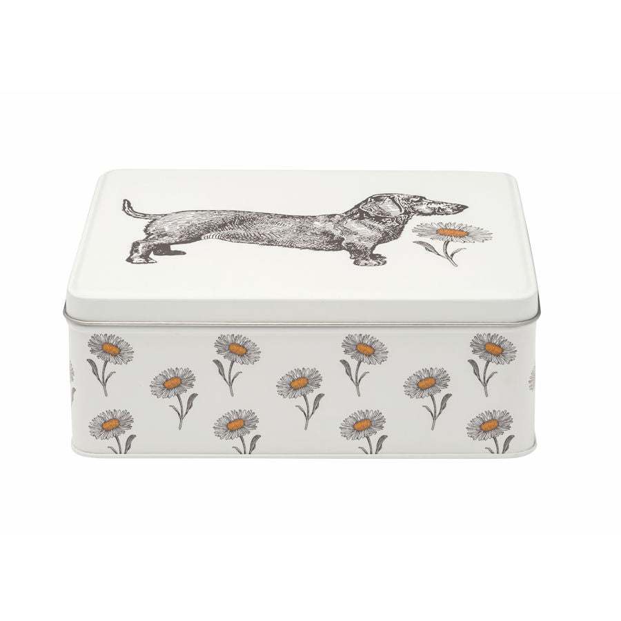 Peltipurkki Dog & Daisy 19x15 cm