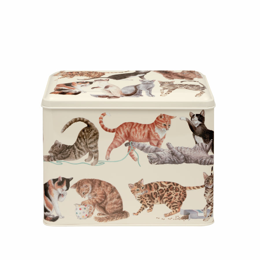 Peltirasia Kissat - Cats