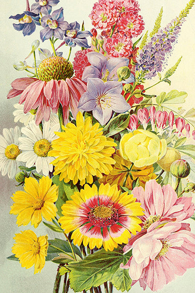 Postikortit peltirasiassa Kukkakimput - Summer Bouquets 20kpl