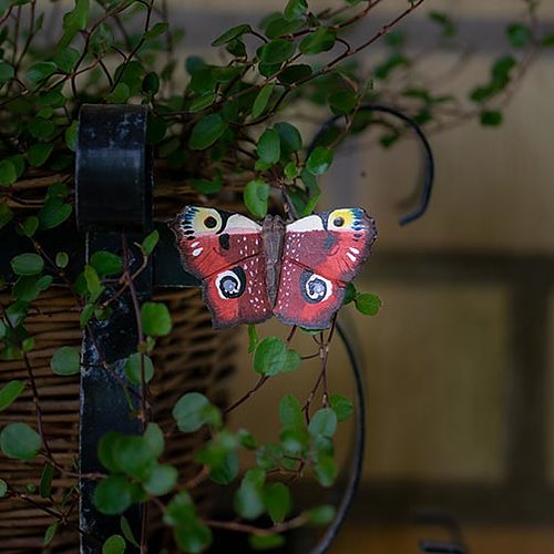 Puinen magneetti Neitoperhonen - Peacock Butterfly