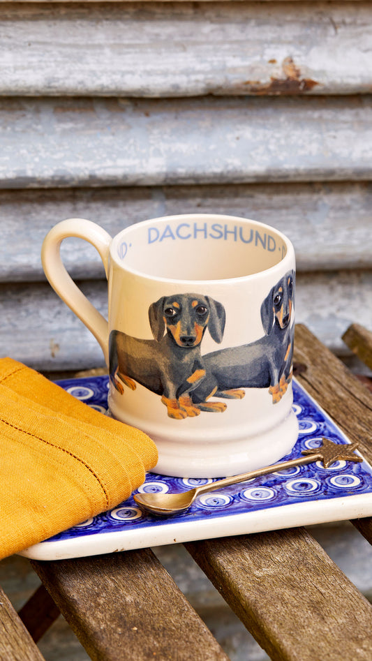Muki Mäyräkoira - Black & Tan Dachshund