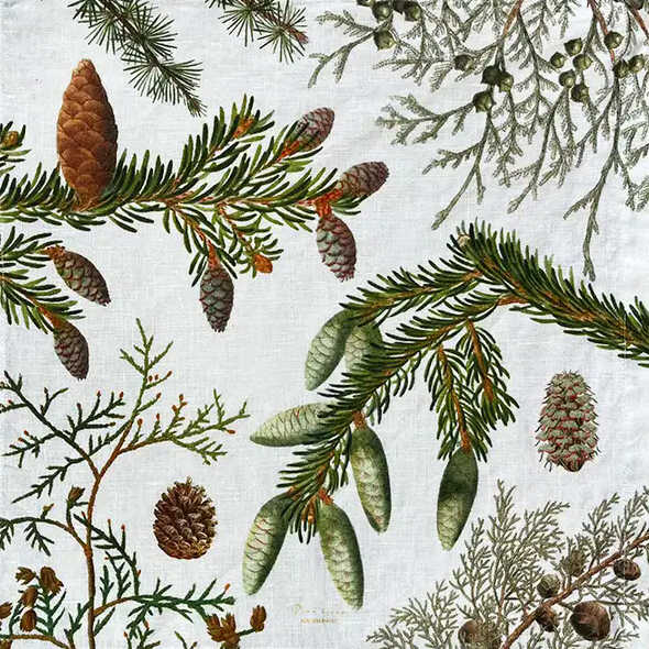Pöytäliina Kävyt Pine Trees 145 x 220 cm