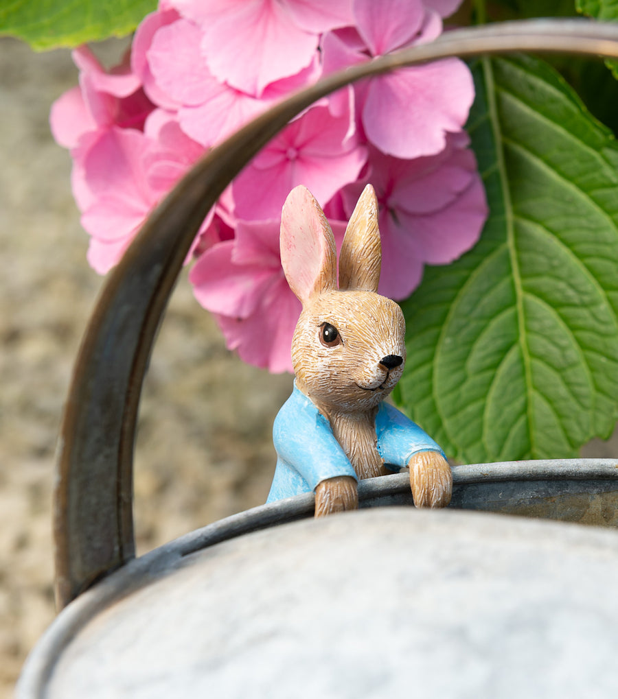 Ruukkukaveri Peter Rabbit pupu