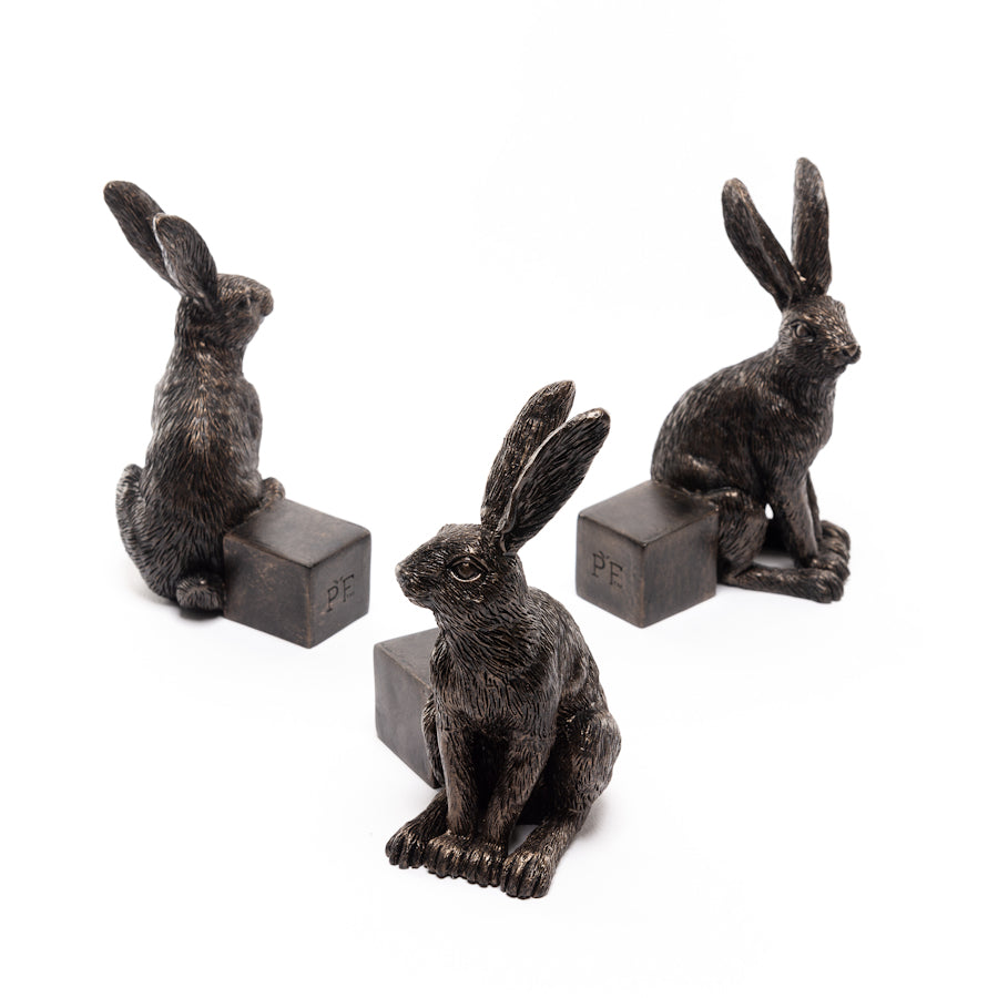 Ruukkutassut Jänis - Vigilant Hare