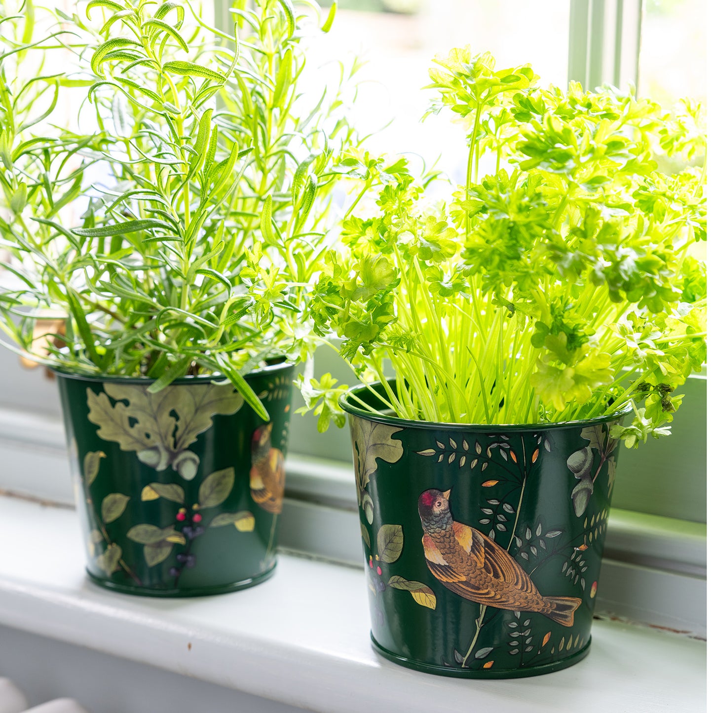 Metalliset yrttiruukut 2 kpl setti - Woodland Wonders