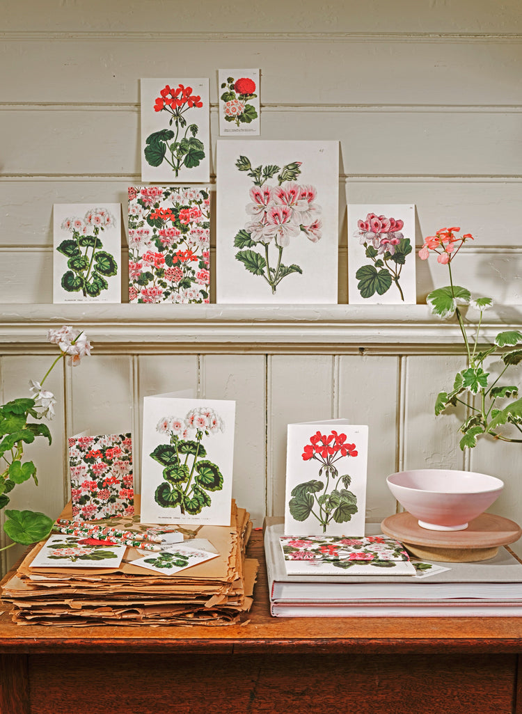 Julisteet ja paperituotteet