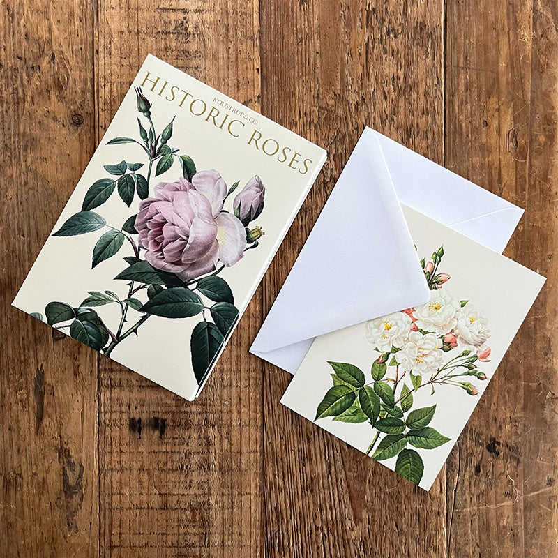 Postikortit Historic Roses 8 kpl