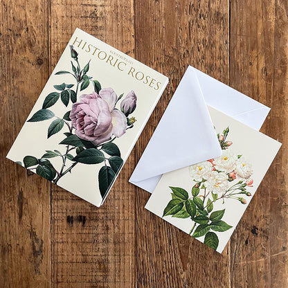 Postikortit Historic Roses 8 kpl