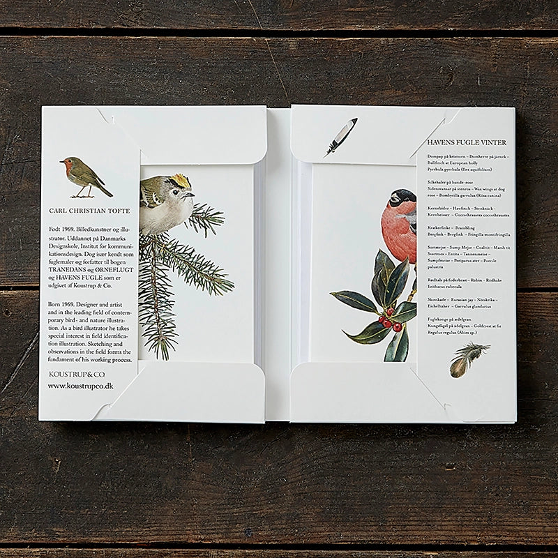 Postikortit Puutarhan linnut Talvi - Garden Birds Winter 8 kpl