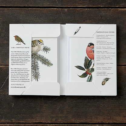 Postikortit Puutarhan linnut Talvi - Garden Birds Winter 8 kpl