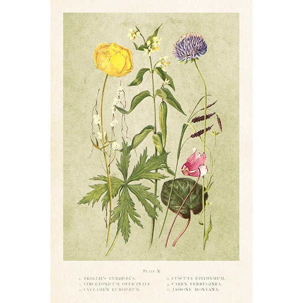 Postikortit peltirasiassa Kesäniitty - Summer Fields