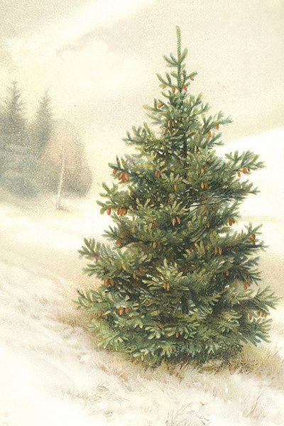 Postikortit peltirasiassa 20 kpl Talvimetsä - Winter forest