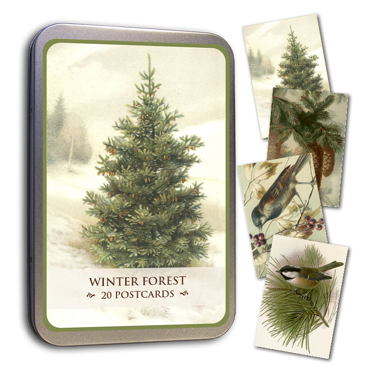 Postikortit peltirasiassa 20 kpl Talvimetsä - Winter forest