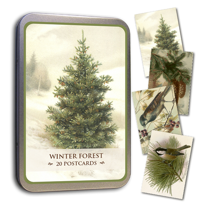 Postikortit peltirasiassa 20 kpl Talvimetsä - Winter forest