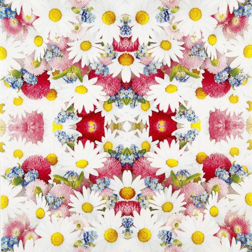 Servetti Päivänkakkarat - Flower Carpet 33 x 33 cm