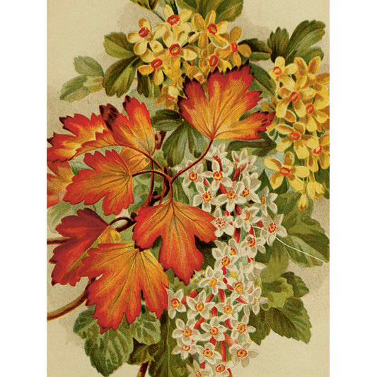 Kasvitaulu Syksyn lehdet 18 x 24 cm
