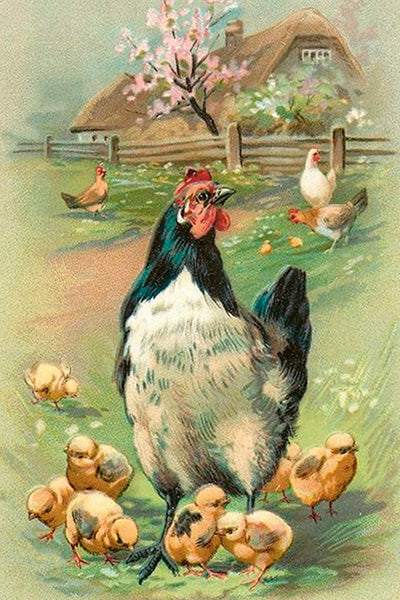 Postikortit peltirasiassa Pääsiäiskukat ja -eläimet - Vintage Easter 20 kpl