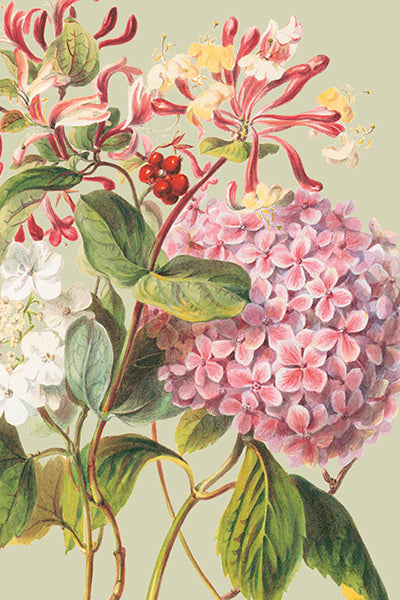 Postikortit peltirasiassa Kesäkukat - Peonies and Roses 20 kpl