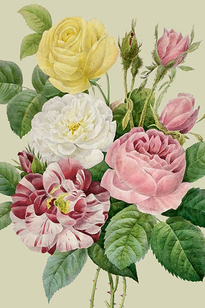 Postikortit peltirasiassa Kesäkukat - Peonies and Roses 20 kpl