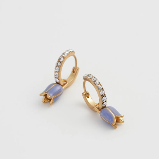 sinikello korvakorut