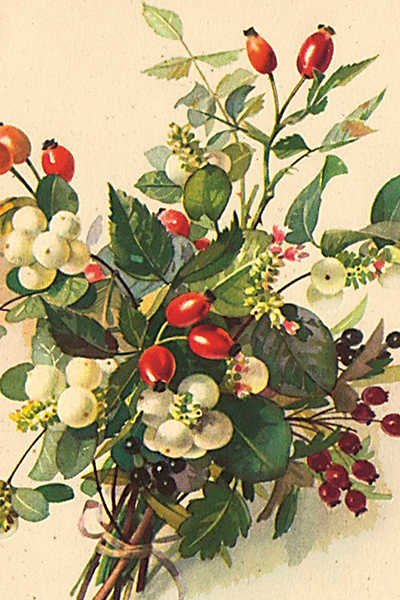 Postikortit peltirasiassa Jouluiset kukat ja marjat - Christmas Berries 20 kpl