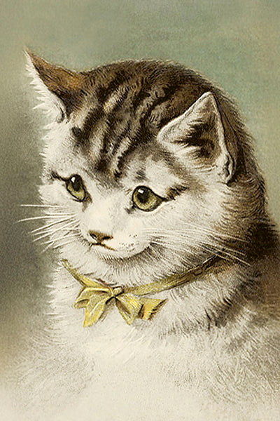 Postikortit peltirasiassa 20 kpl - Vintage Kittens - Kissat