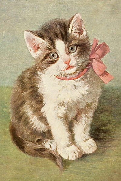 Postikortit peltirasiassa 20 kpl - Vintage Kittens - Kissat