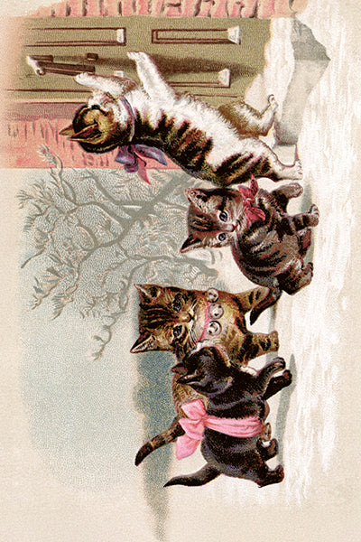 Postikortit peltirasiassa 20 kpl - Vintage Kittens - Kissat