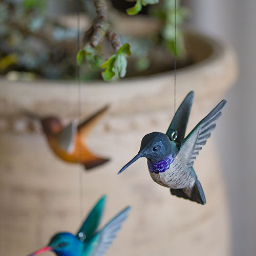 DecoBird Mustakurkkukolibri - Black chinned Humingbird