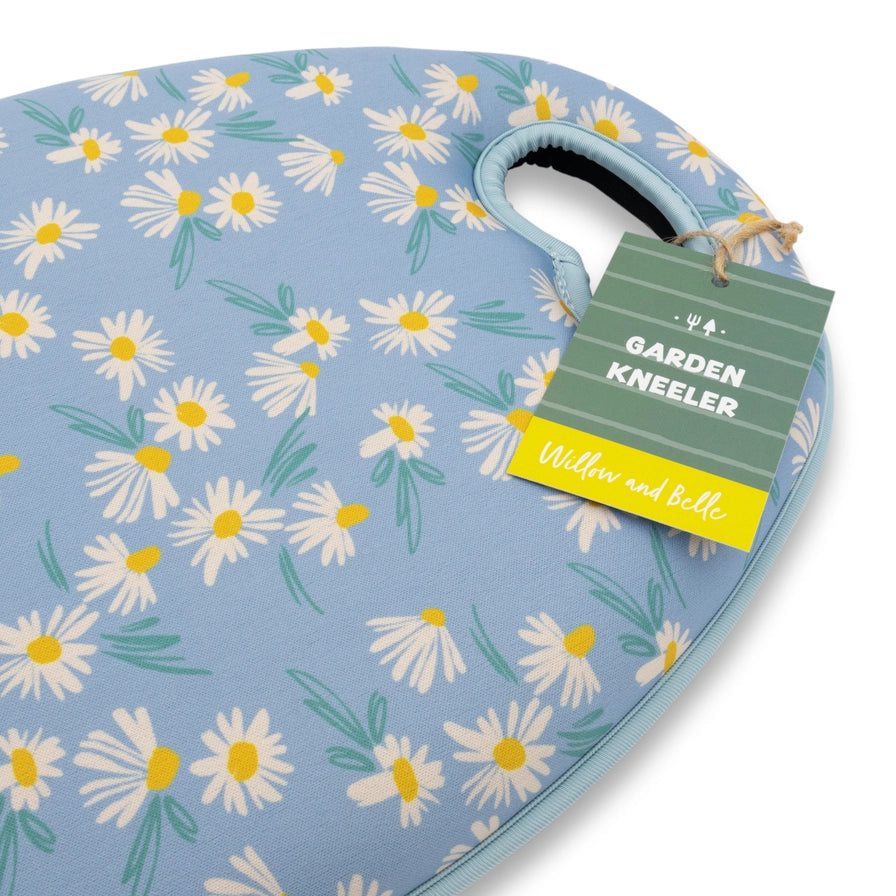 Polvipehmuste Daisy
