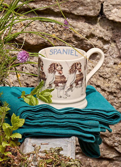 Muki Spanieli - Brown &amp; Cream Spaniel