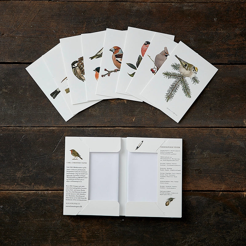 Postikortit Puutarhan linnut Talvi - Garden Birds Winter 8 kpl