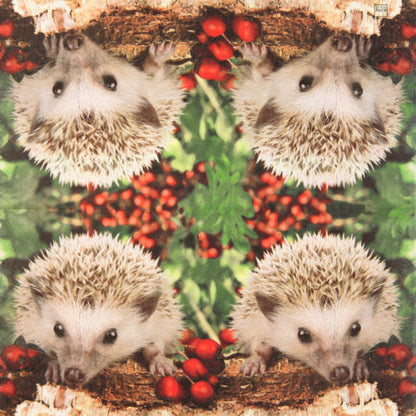 Servetti Siili 33 x 33 cm