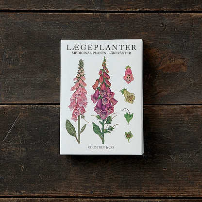 Postikortit Lääkekasvit - Medical Plants 8 kpl