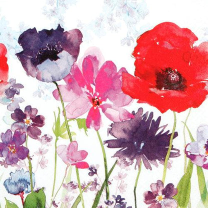 Servetti  Meadow of Flowers 33 x 33 cm