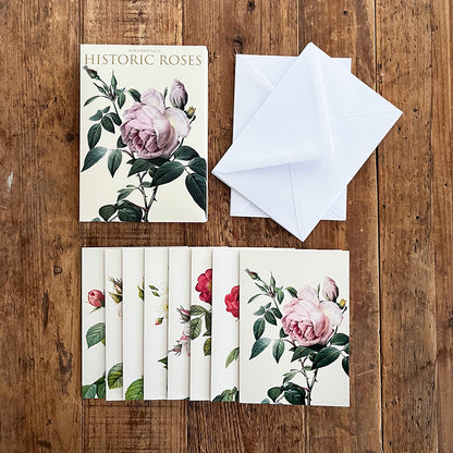Postikortit Historic Roses 8 kpl